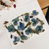 Eco-Print auf Papier mit Blumen: DIY-Workshop in Wien | Ocker Studio