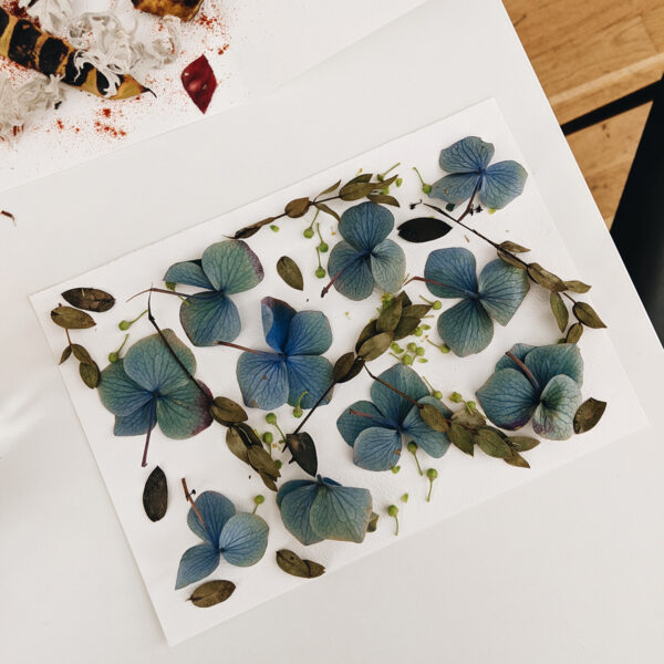 Eco-Print auf Papier mit Blumen: DIY-Workshop in Wien | Ocker Studio