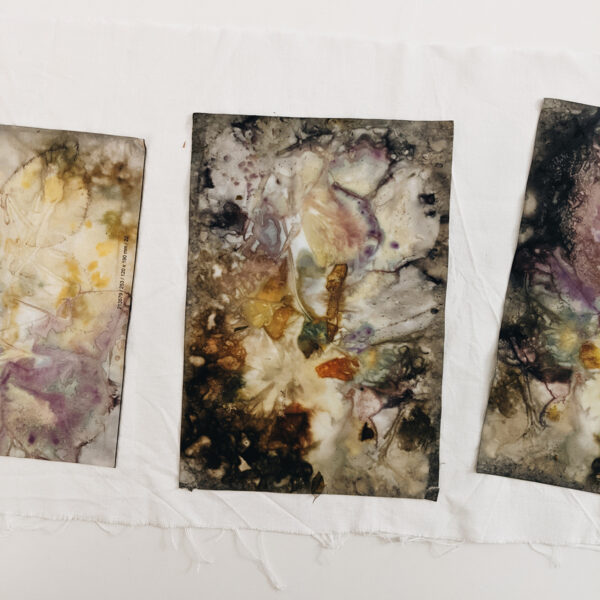 Eco-Print auf Papier: Workshop | Ocker Studio