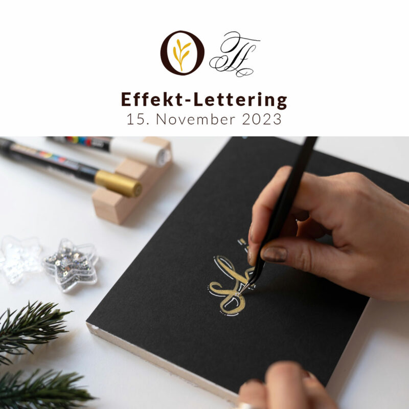 Effekt-Lettering-Workshop | Ocker Studio