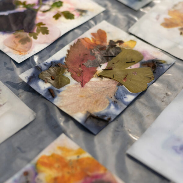 Eco Print Wien DIY-Workshop | Ocker Studio