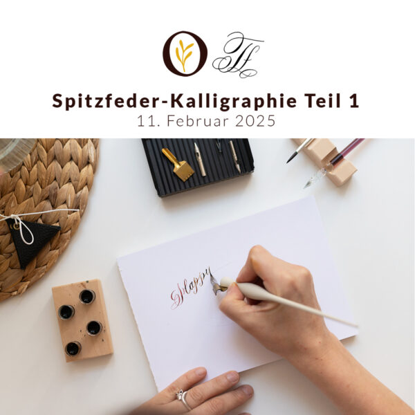 Spitzfeder-Kalligraphie Workshop 2025 | Ocker Studio