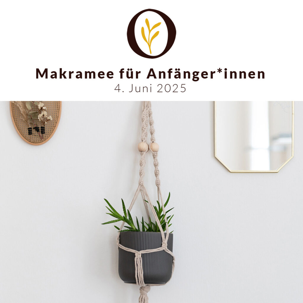 Makramee-Workshop: Blumenampel knüpfen | Ocker Studio